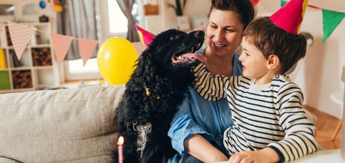 birthday party for your dog