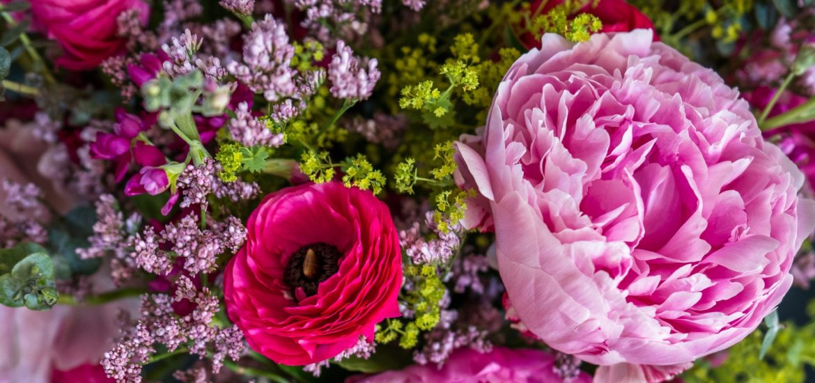 Everything You Need to Know About Peony Flower Singapore