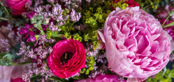 Everything You Need to Know About Peony Flower Singapore