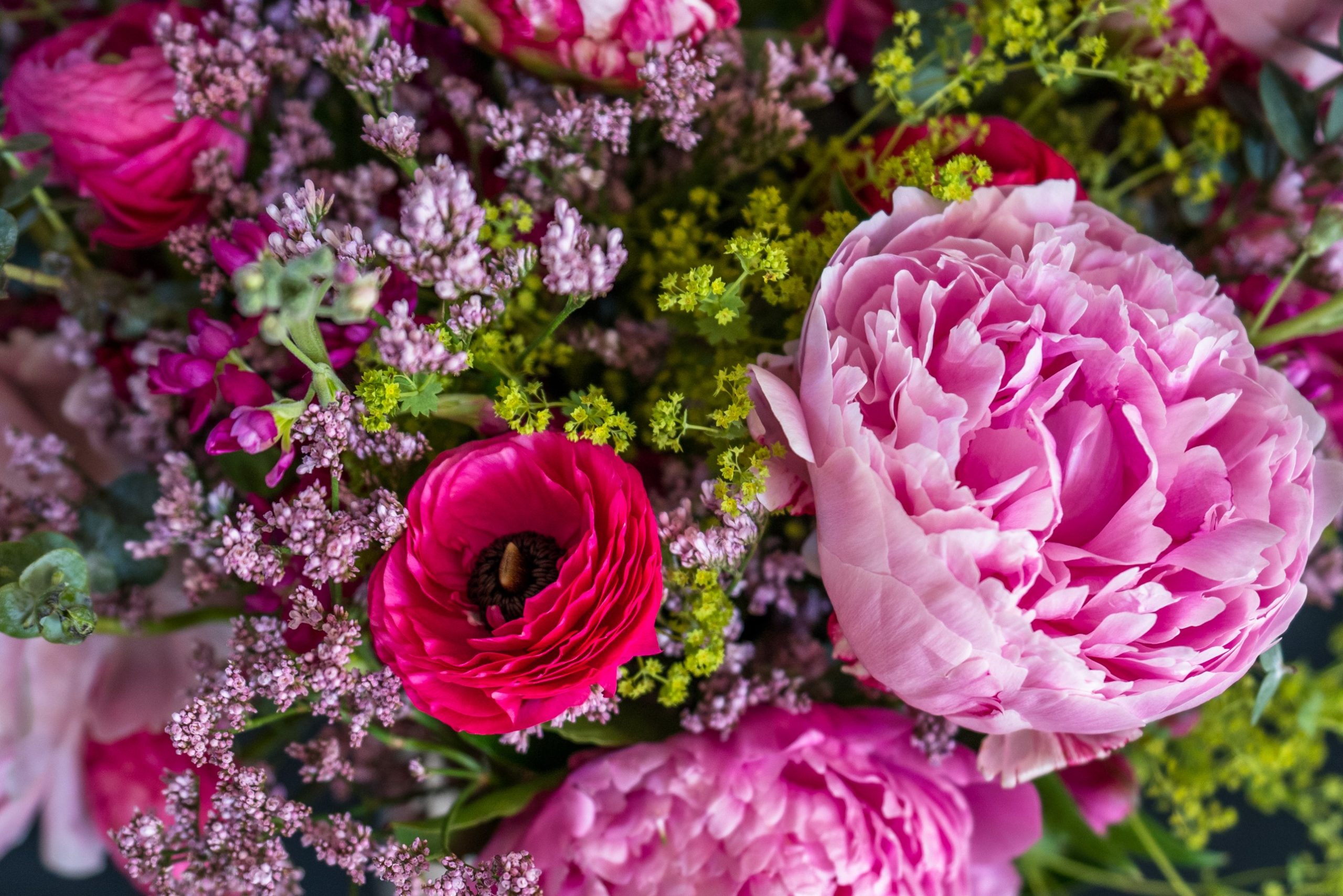 Everything You Need to Know About Peony Flower Singapore