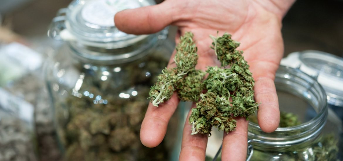 weed delivery mississauga