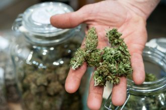 weed delivery mississauga