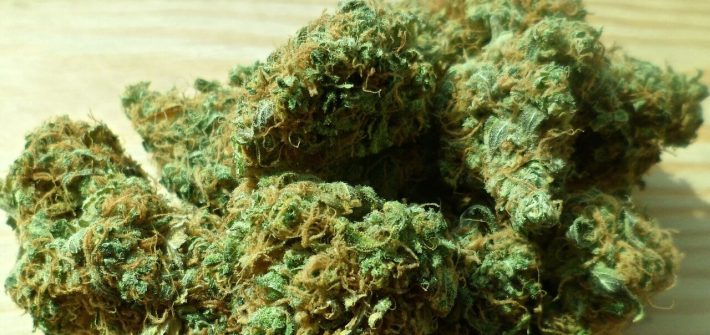 weed delivery toronto