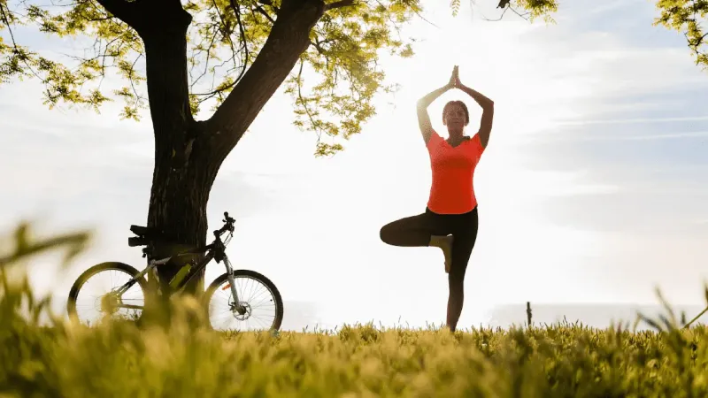 Health Strategies for a Contented Life: Reveal the Keys to Perfect Wellness